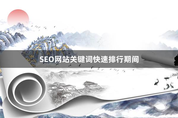 SEO网站关键词快速排行期间